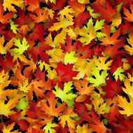 Vector background design with colorful autumn leaves seamless pattern N3