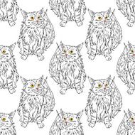 Maine coon pattern N8