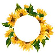 The pattern of blooming yellow flowers sunflower painted in watercolor N2