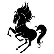 energetic horse reared