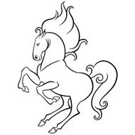 energetic horse reared N2