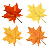Maple leaves set