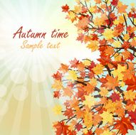 Autumn N54