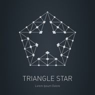 Star logo Modern stylish design element