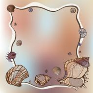 Frame of seashells