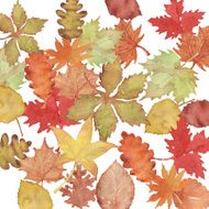 Autumn background leaf