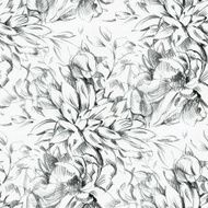 Pencil Drawing N5