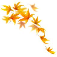 falling autumn leaves N7