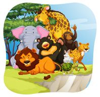 Wildlife N3