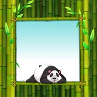 Bamboo N8