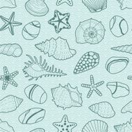 Vector background with sea shells stars stones