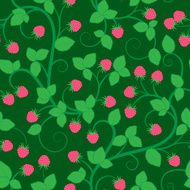 Seamless pattern with raspberry N2