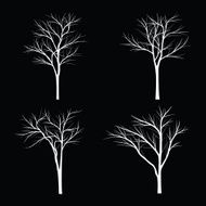 Trees with dead branch N3