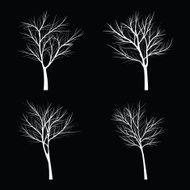 Trees with dead branch N4