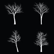 Trees with dead branch N6