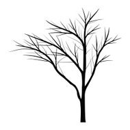 Trees with dead branch N7
