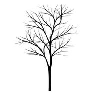 Trees with dead branch N10