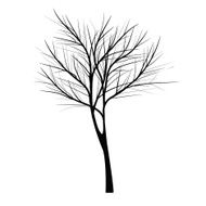 Trees with dead branch N11