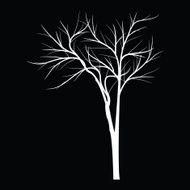 Trees with dead branch N13