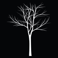 Trees with dead branch N14