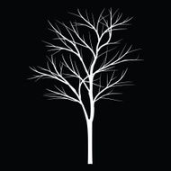 Trees with dead branch N15