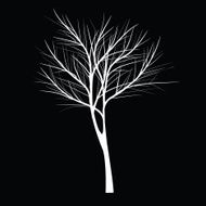 Trees with dead branch N16