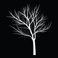 Trees with dead branch N18