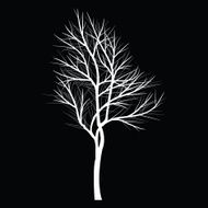 Trees with dead branch N19