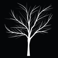 Trees with dead branch N20