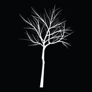 Trees with dead branch N21