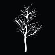 Trees with dead branch N22