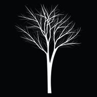 Trees with dead branch N23