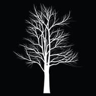 Trees with dead branch N24