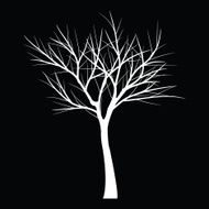 Trees with dead branch N25