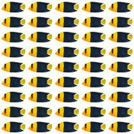 Bicolor Angelfish pattern