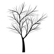 Trees with dead branch N26