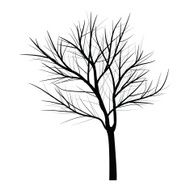 Trees with dead branch N27