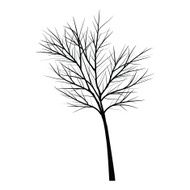 Trees with dead branch N28