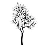 Trees with dead branch N29