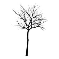 Trees with dead branch N31