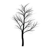 Trees with dead branch N32