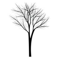 Trees with dead branch N33