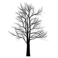 Trees with dead branch N35