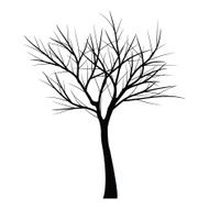 Trees with dead branch N36