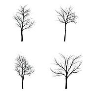 Trees with dead branch N39