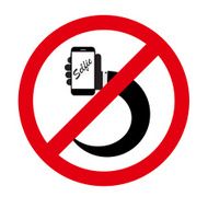 Flat Selfie Icon Vector Illustration