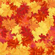 Seamless autumn maple leaves