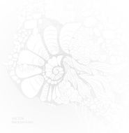 abstract background with a white light blur N3