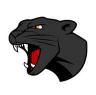 Puma head with bared teeth