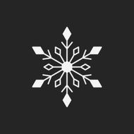 snowflake icon N12
